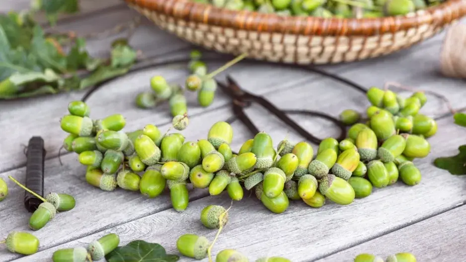 DIY podzimní věnec z žaludů DIY podzimní věnec z žaludů