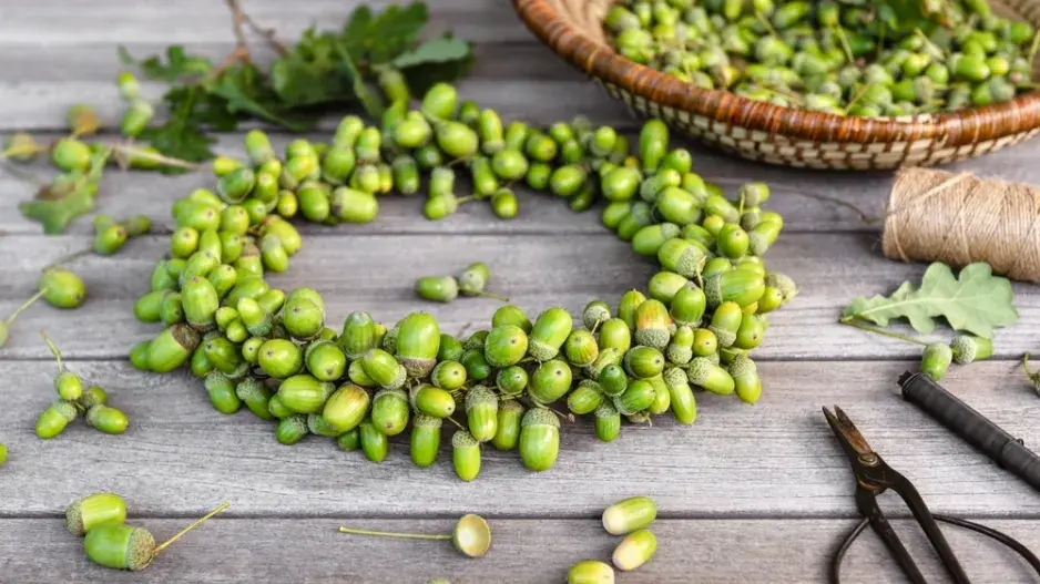 DIY podzimní věnec z žaludů DIY podzimní věnec z žaludů