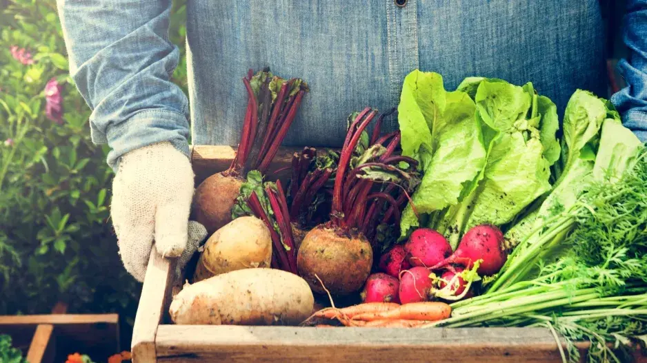 Imunitní systém podpoříte poklady ze zahrady 