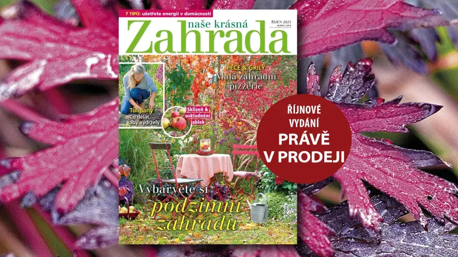 Naše krásná zahrada říjen 2025