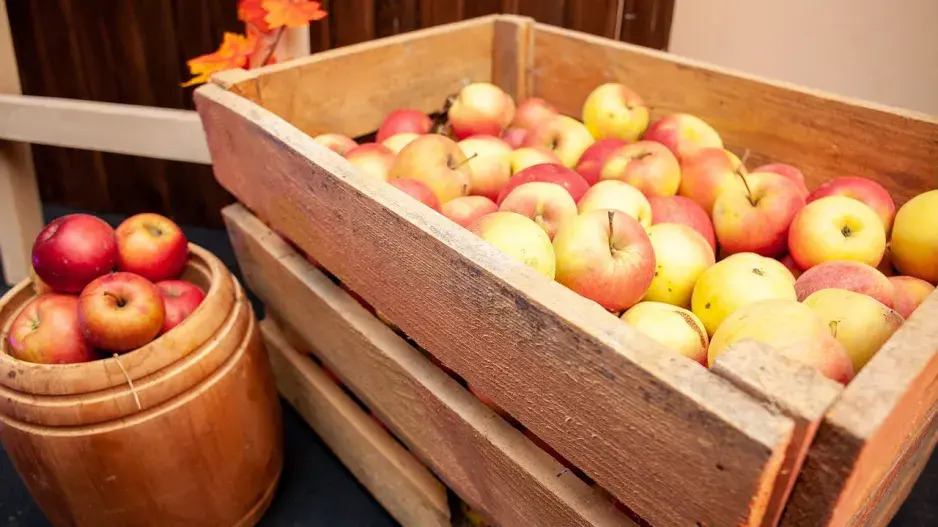 Bedýnka jablek na uskladnění.