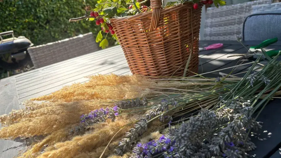Tráva a levandule 