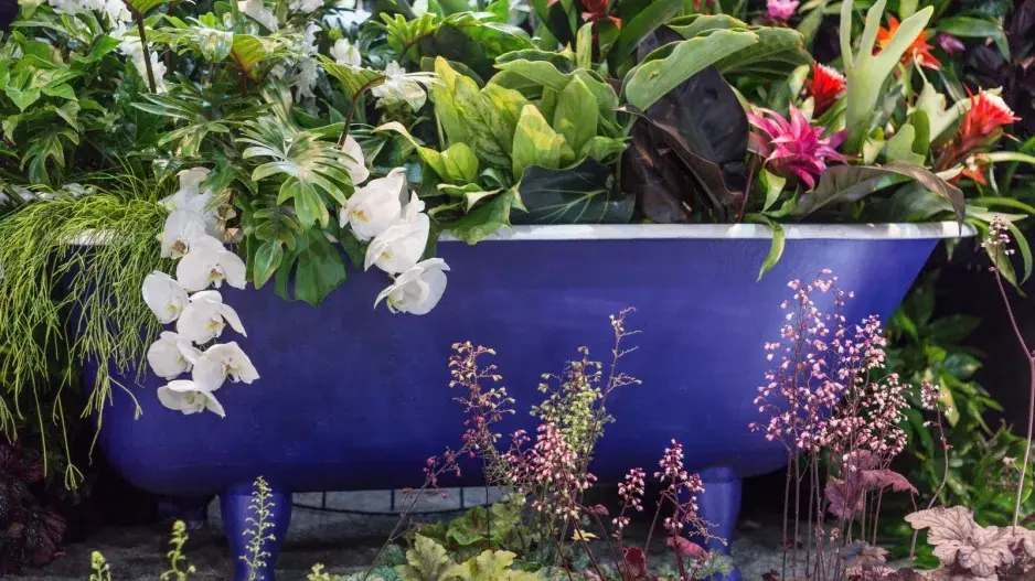 Stará vana  Stará vana