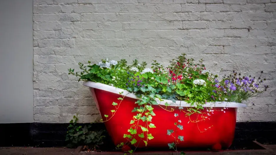 Stará vana  Stará vana