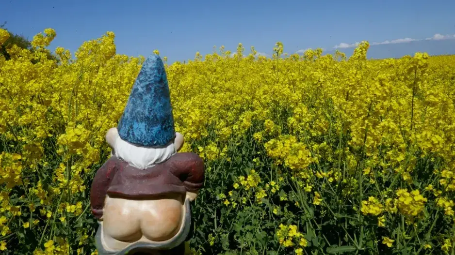 Trpaslíci v zahradě