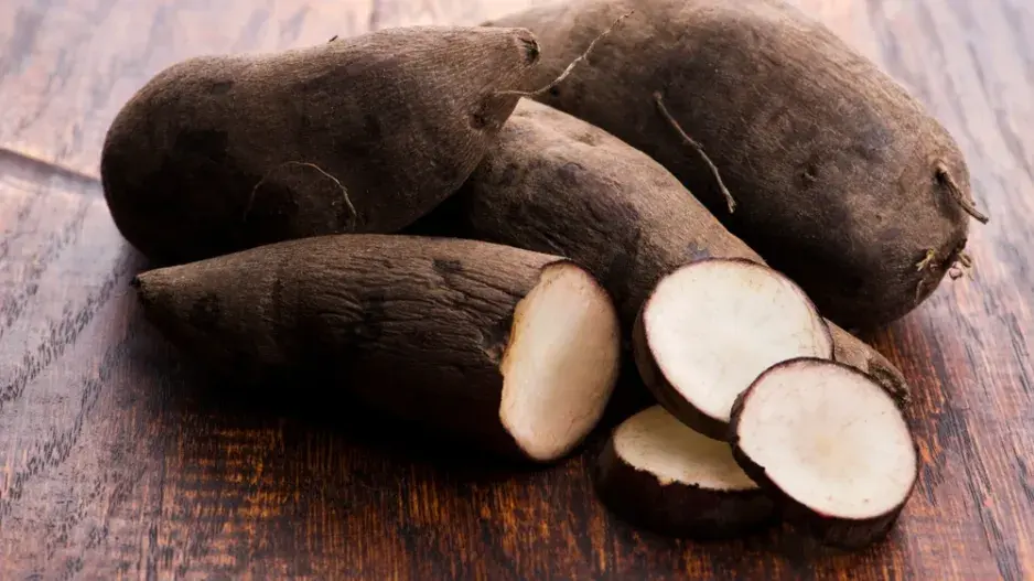 Jakon (Smallanthus sonchifolius) 