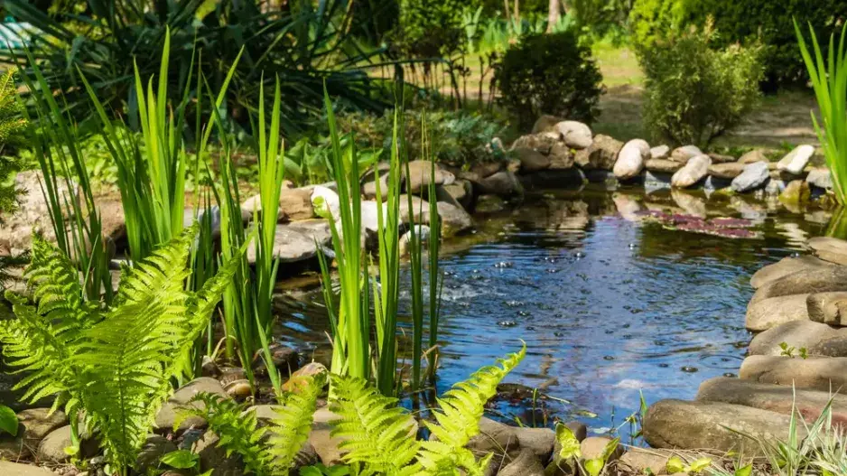 Zahradní jezírko