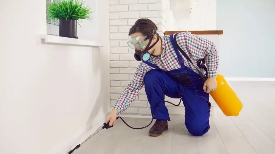 Mravenci v bytě Mravenci v bytě