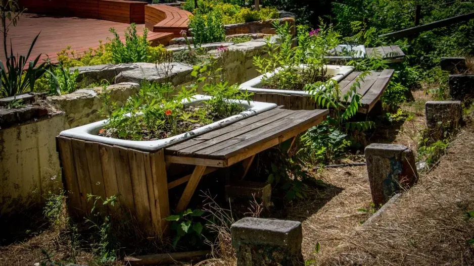 Vyvýšený záhon  Vyvýšený záhon