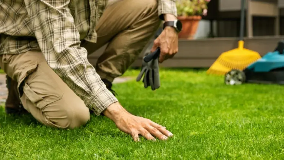 Péče o trávník v září