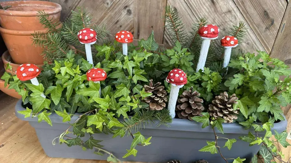 muchomůrky z ořechů