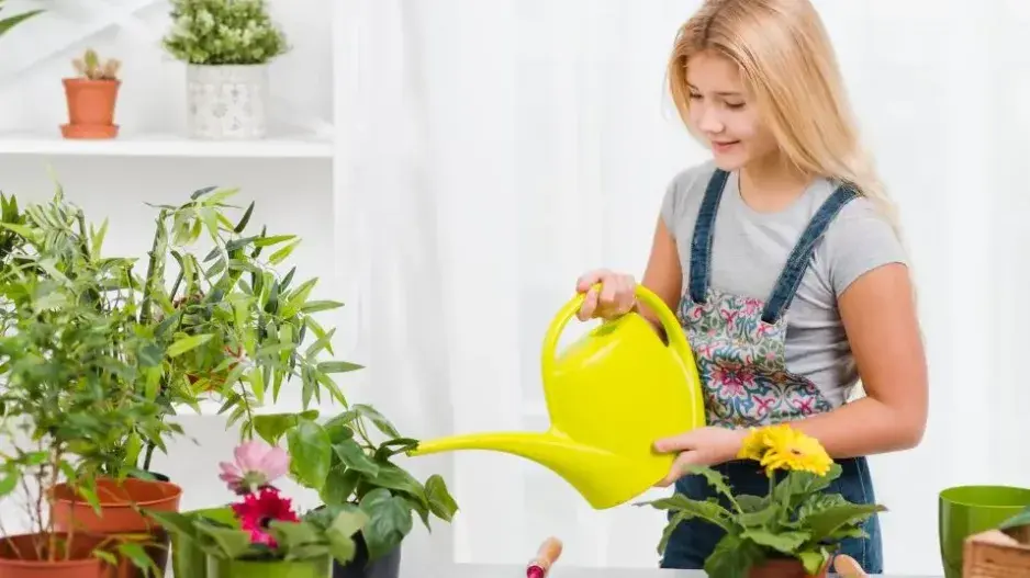 Zalévání pokojovek Zalévání pokojovek