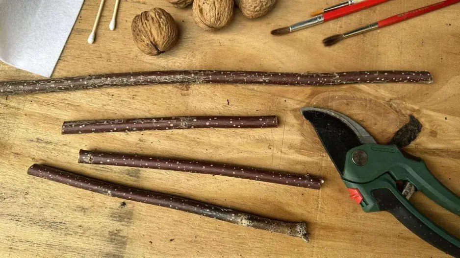 muchomůrky z ořechů muchomůrky z ořechů