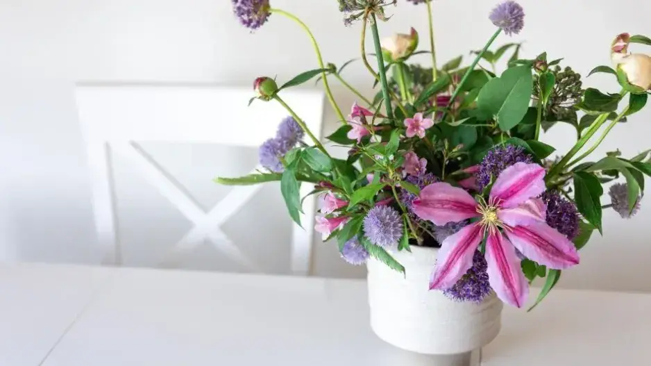 Zalévání pokojovek Zalévání pokojovek