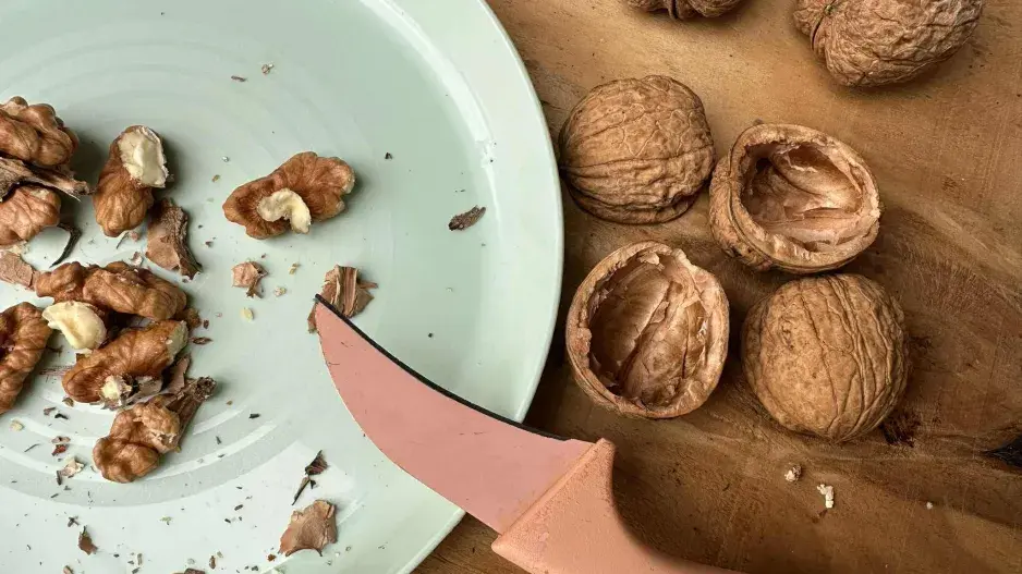 muchomůrky z ořechů muchomůrky z ořechů