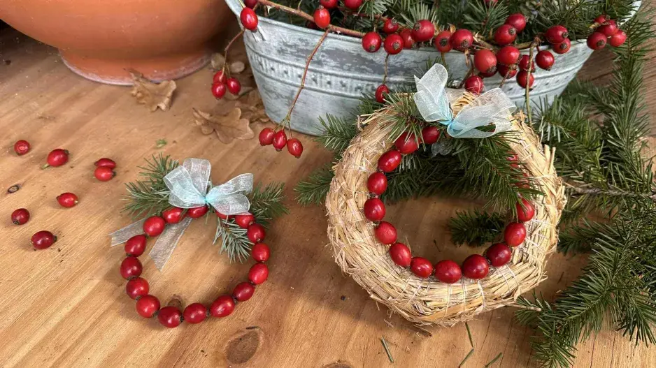 Věnečky z šípků