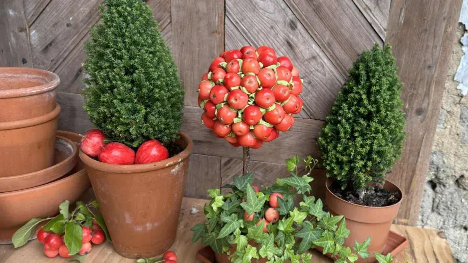 Podzimní dekorace z mini jablíček