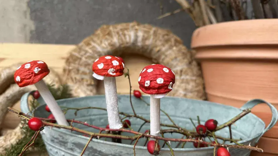 muchomůrky z ořechů muchomůrky z ořechů