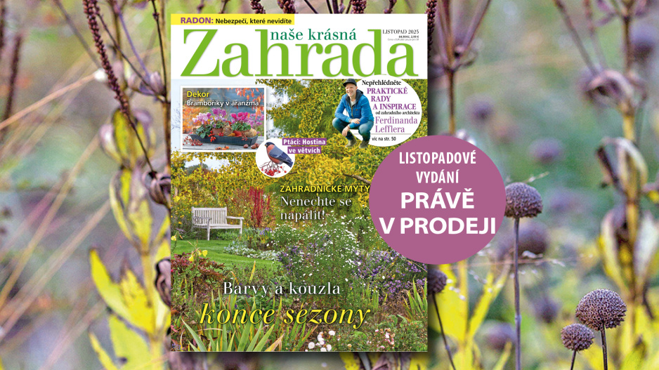 Naše krásná zahrada listopad 2025