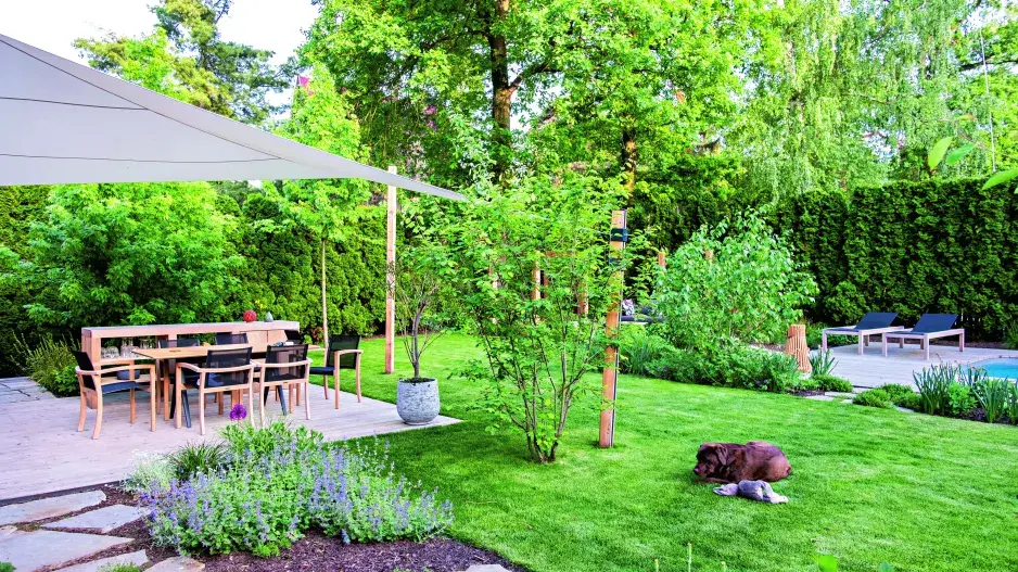 Stín lesa a sluneční paprsky