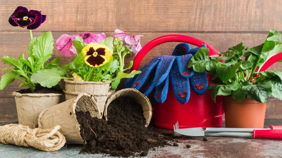 Recyklace na zahradě Recyklace na zahradě