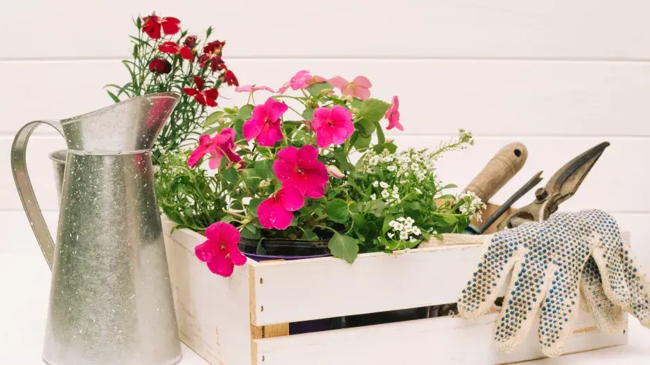 Recyklace na zahradě Recyklace na zahradě