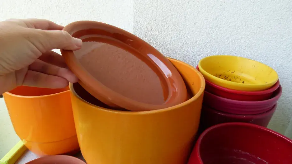 ptačí krmítko DIY