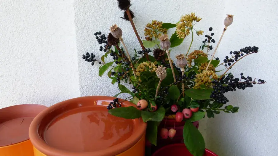 ptačí krmítko DIY