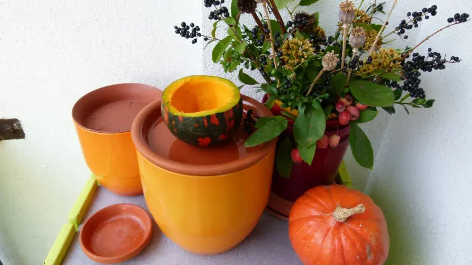 ptačí krmítko DIY