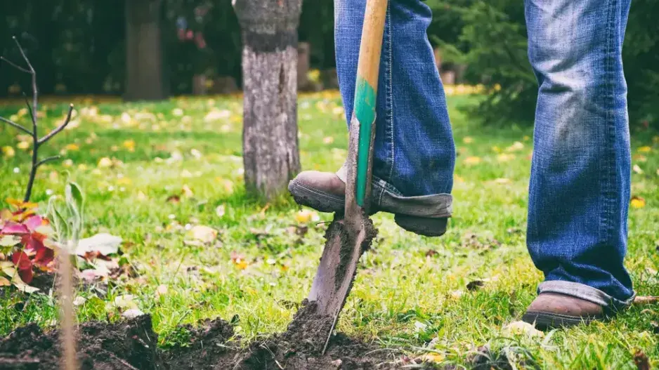 Rytí záhonů Rytí záhonů