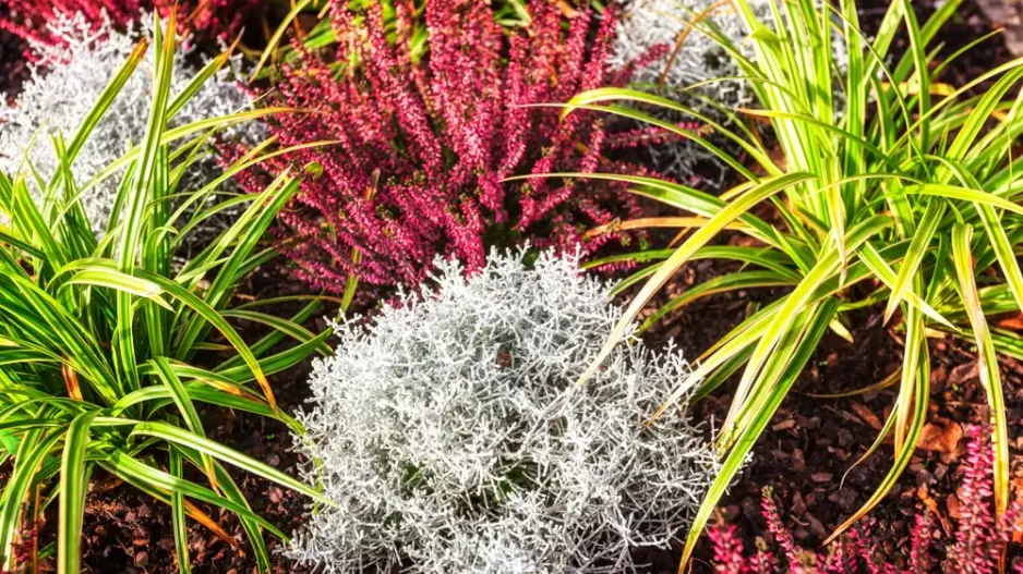 Osázení hrobů Osázení hrobů