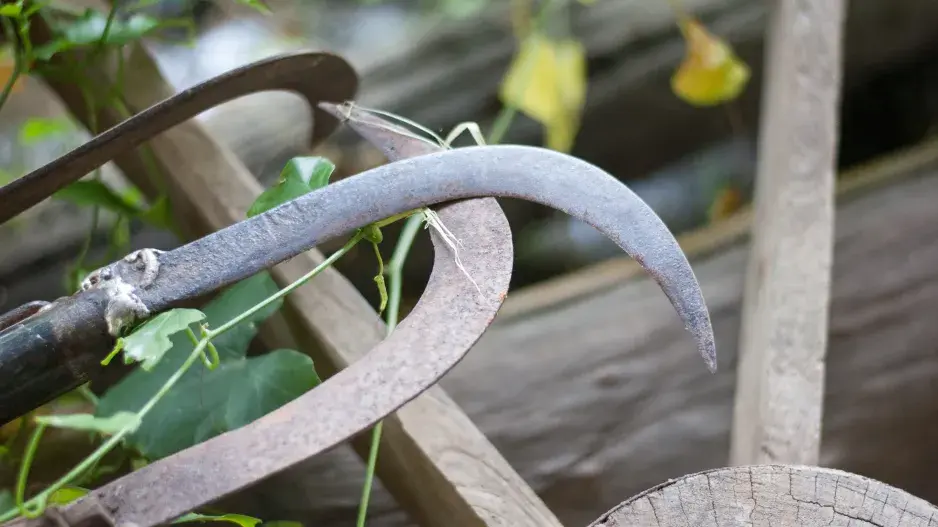 Zahradnické náčiní