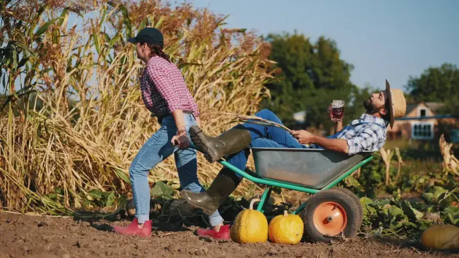 Zazimování zahrady 