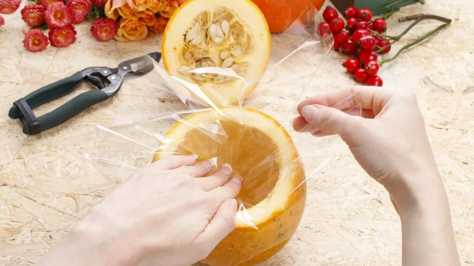 Růžemi rozkvetlá dýně Růžemi rozkvetlá dýně