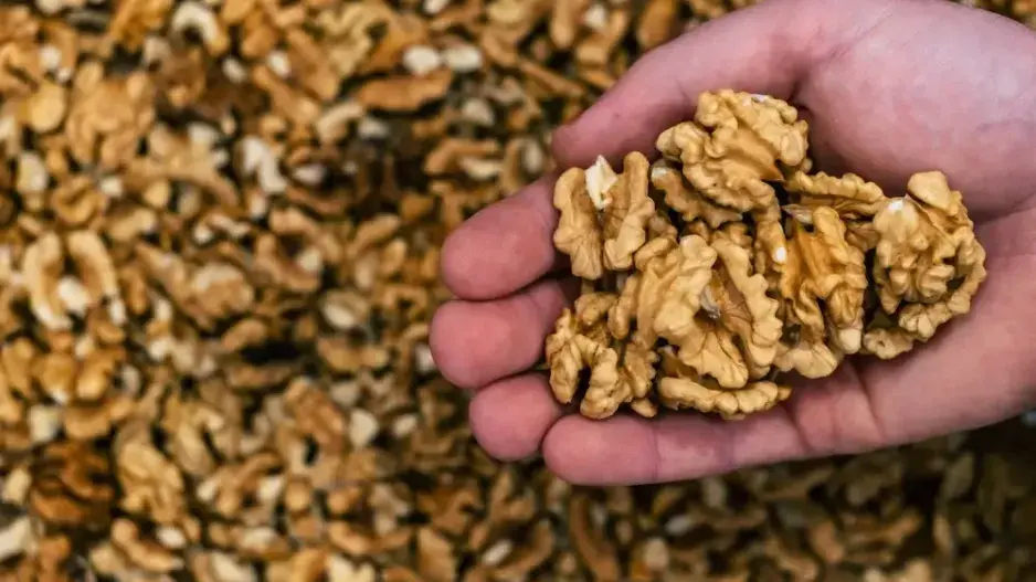 Skladování ořechů