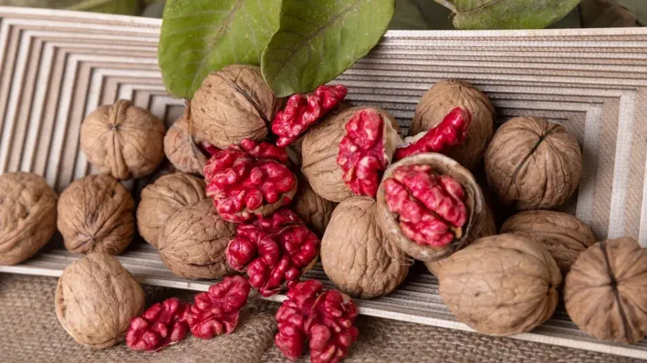 Ořešák s červenými jádry