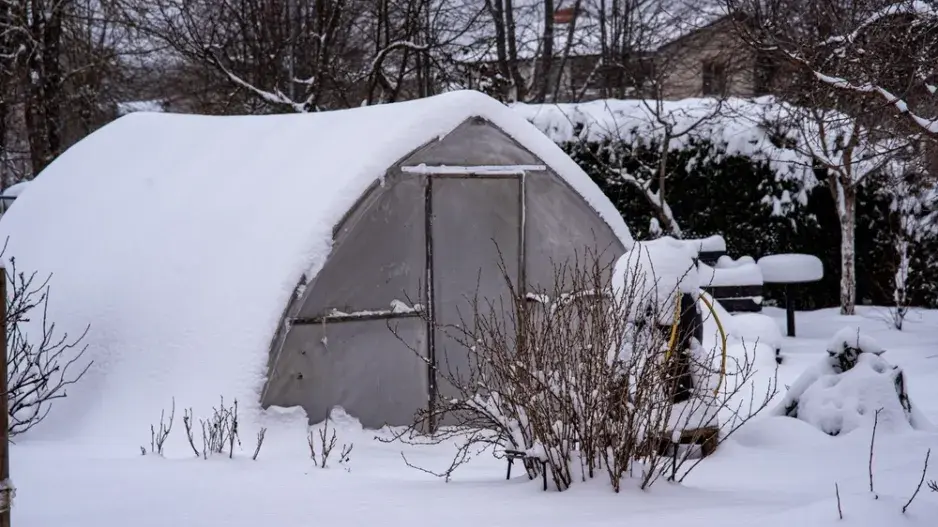 Zazimování skleníku