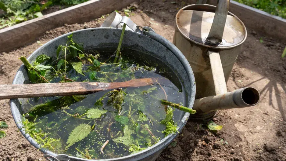 Recyklace na zahradě Recyklace na zahradě
