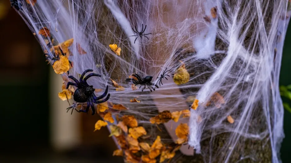 Oslava Halloweenu