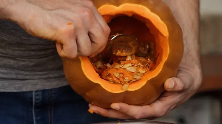 Dýně pro Halloween