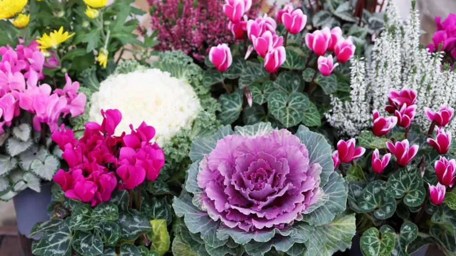 čistý náhrobní kámen čistý náhrobní kámen