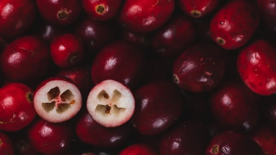 Klikva velkoplodá (Vaccinium macrocarpon) 
