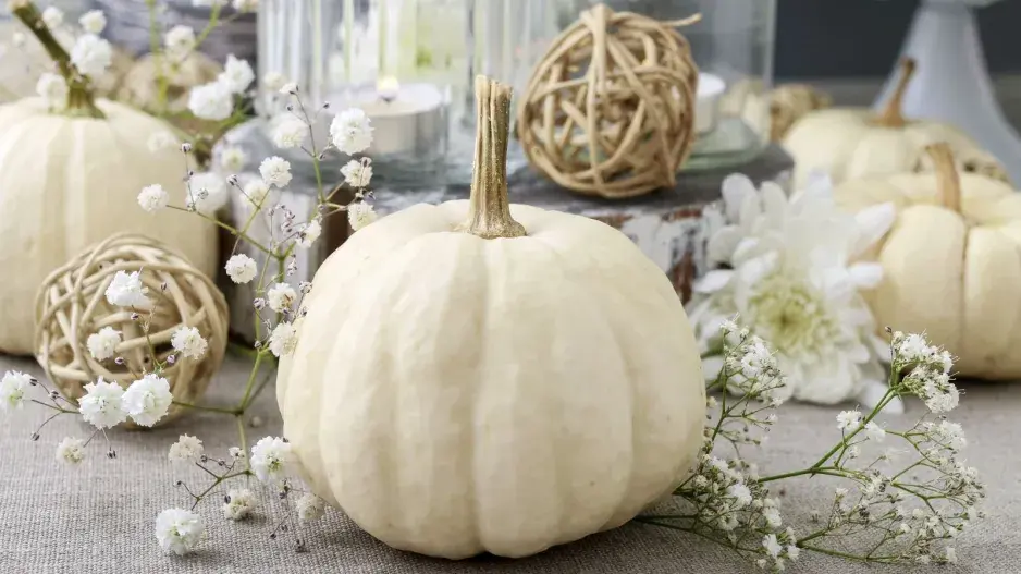 Dekorace z bílé dýně