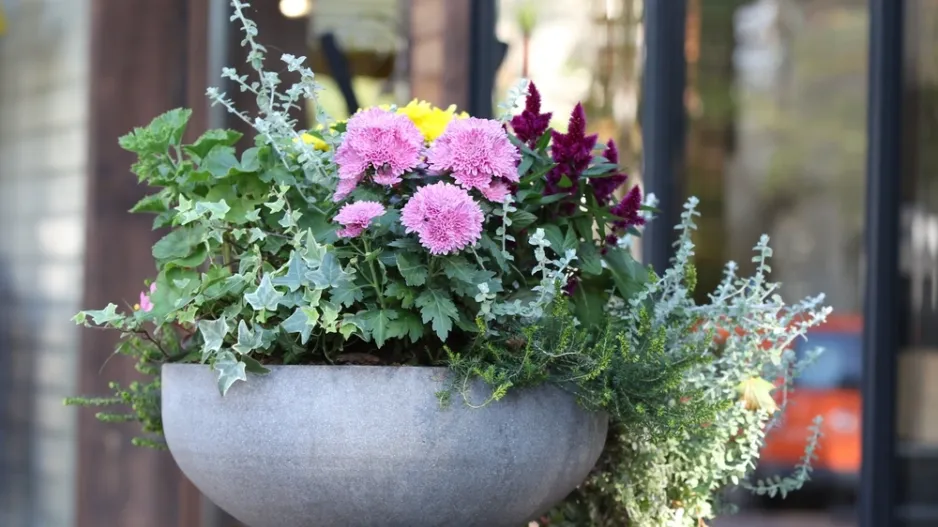 čistý náhrobní kámen čistý náhrobní kámen