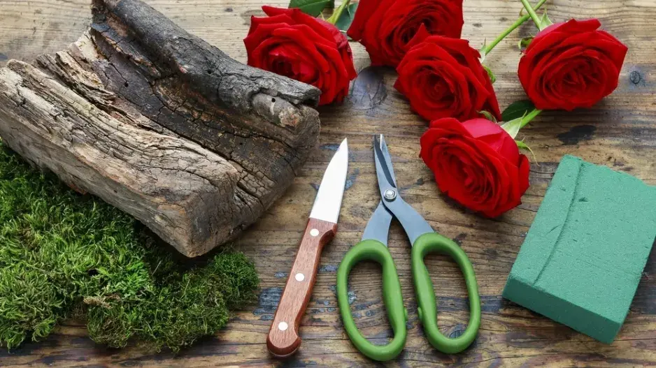 Není pařez jako pařez, ten náš kvete růžemi