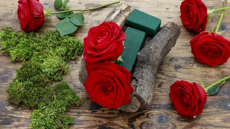 Není pařez jako pařez, ten náš kvete růžemi