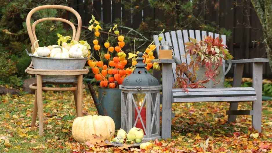 Mochyně židovská třešeň