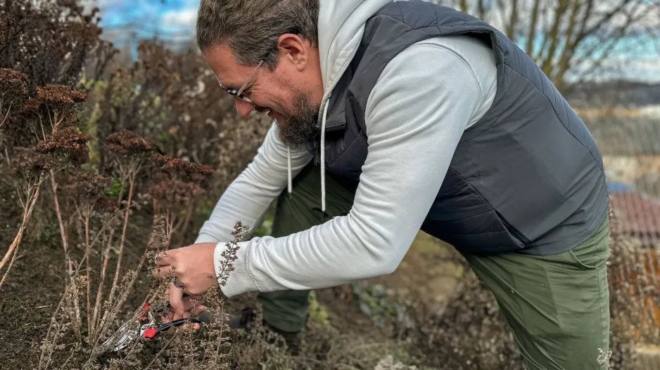 Podzimní střih trvalek