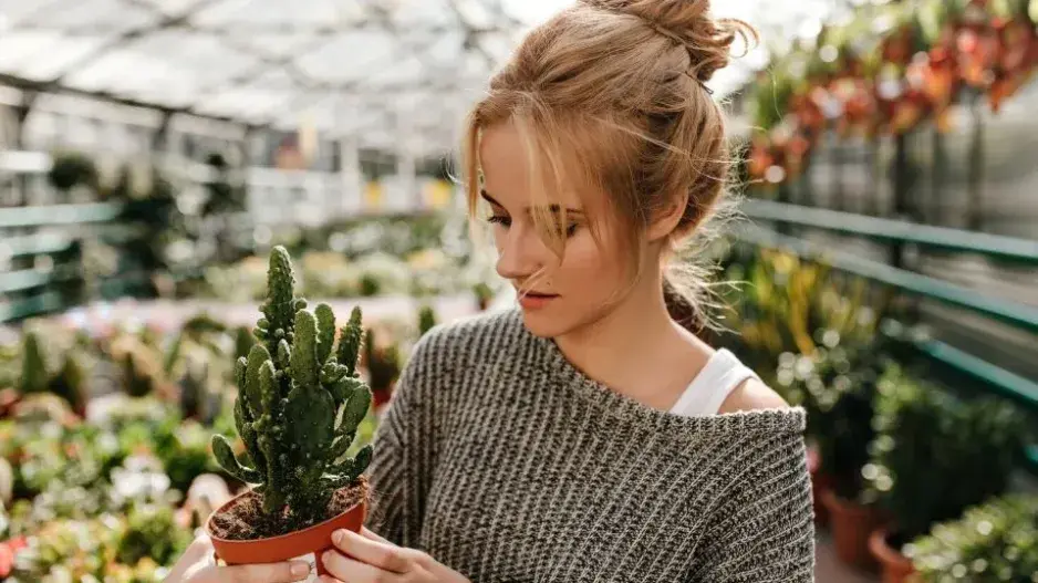 Zalévání pokojovek