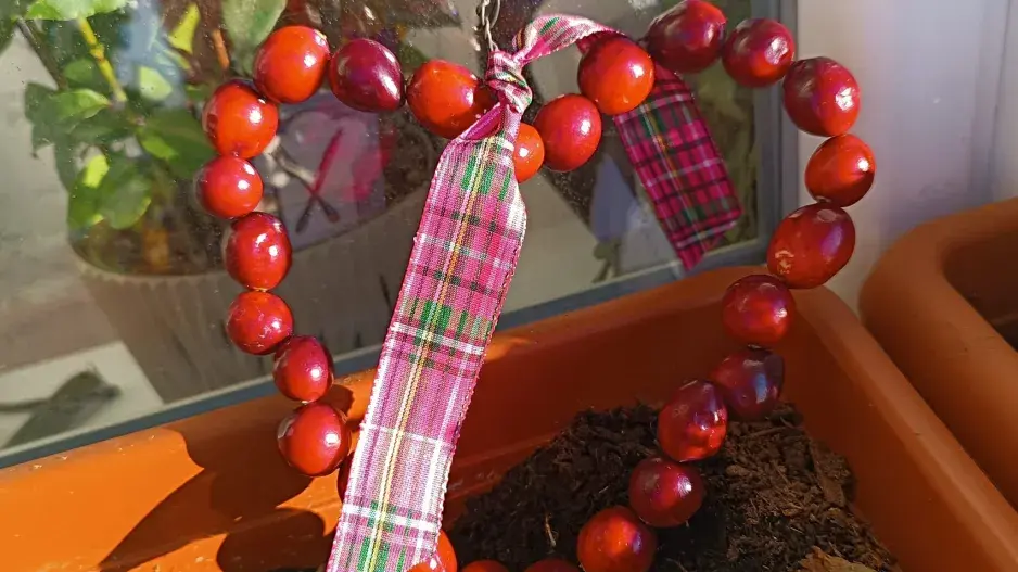 Tvoření z brusinek 